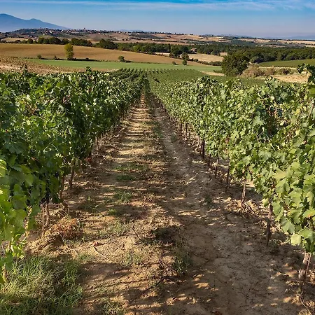 Farm stay Palazzo Massaini - La Pieve *